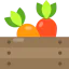 Carrots icon 64x64