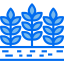 Barley icon 64x64