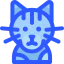 Bengal cat icon 64x64