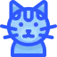 Shorthair cat icon 64x64