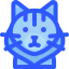 Maine coon cat Symbol 64x64