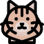 Cat icon 64x64