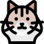 Ragdoll cat icon 64x64