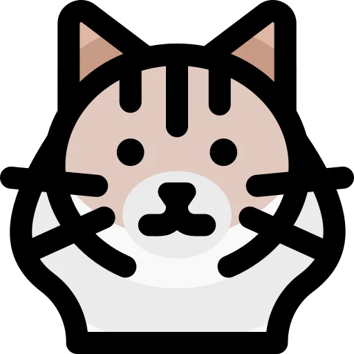 Ragdoll cat icon