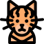 Cat icon 64x64