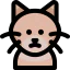 Cat icon 64x64