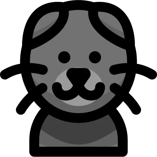 Scottish fold cat ícono