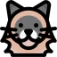 Himalayan cat icon 64x64