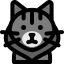 Maine coon cat іконка 64x64