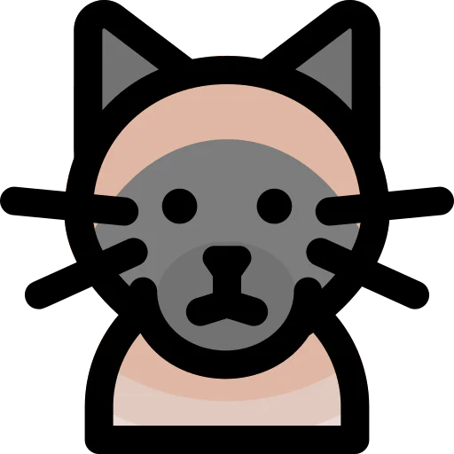 Siamese cat 상