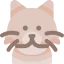 Persian cat icon 64x64