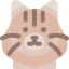 Cat icon 64x64