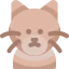 Cat 图标 64x64