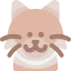 Cat アイコン 64x64