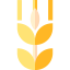 Wheat icon 64x64
