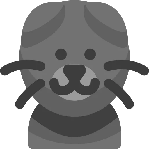 Шотландская вислоухая кошка иконка