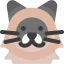 Himalayan cat アイコン 64x64
