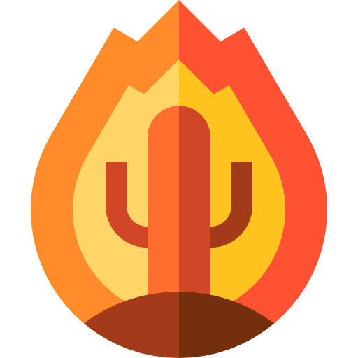 Fire icon