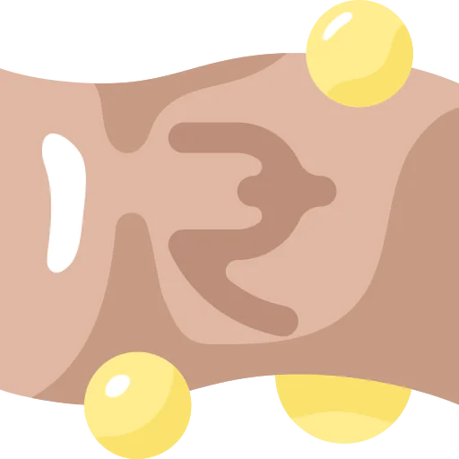 Rupee icon