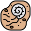 Fossil icon 64x64