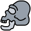 Skull icon 64x64