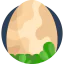 Egg icon 64x64