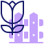 Tulip icon 64x64