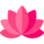 Lotus アイコン 64x64