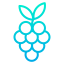 Grapes icon 64x64