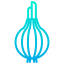 Onion icon 64x64
