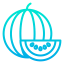 Watermelon icon 64x64