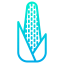 Corn icon 64x64