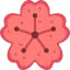 Sakura icon 64x64