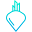Beet icon 64x64
