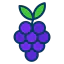 Grapes icon 64x64