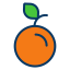 Orange 상 64x64