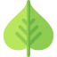 Bodhi leaf 상 64x64