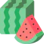 Square watermelon icon 64x64