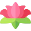 Lotus flower 图标 64x64