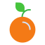 Orange 상 64x64