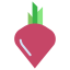 Beet icon 64x64