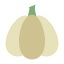 Garlic icon 64x64