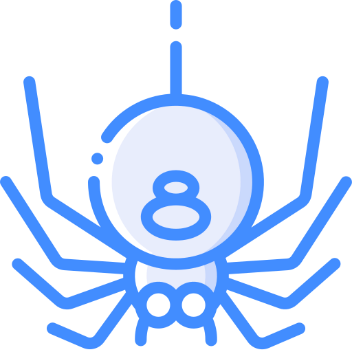 Spider icon