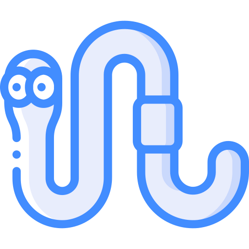 Worm icon