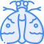 Moth 图标 64x64
