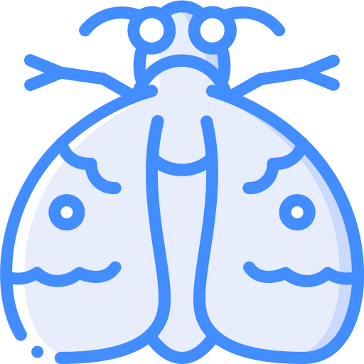 Moth icon