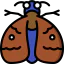 Moth icon 64x64