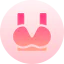 Bra アイコン 64x64