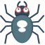 Spider icon 64x64