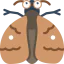 Moth icon 64x64